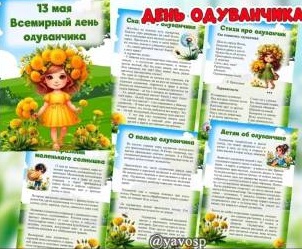 13 мая - Всемирный день одуванчика!.