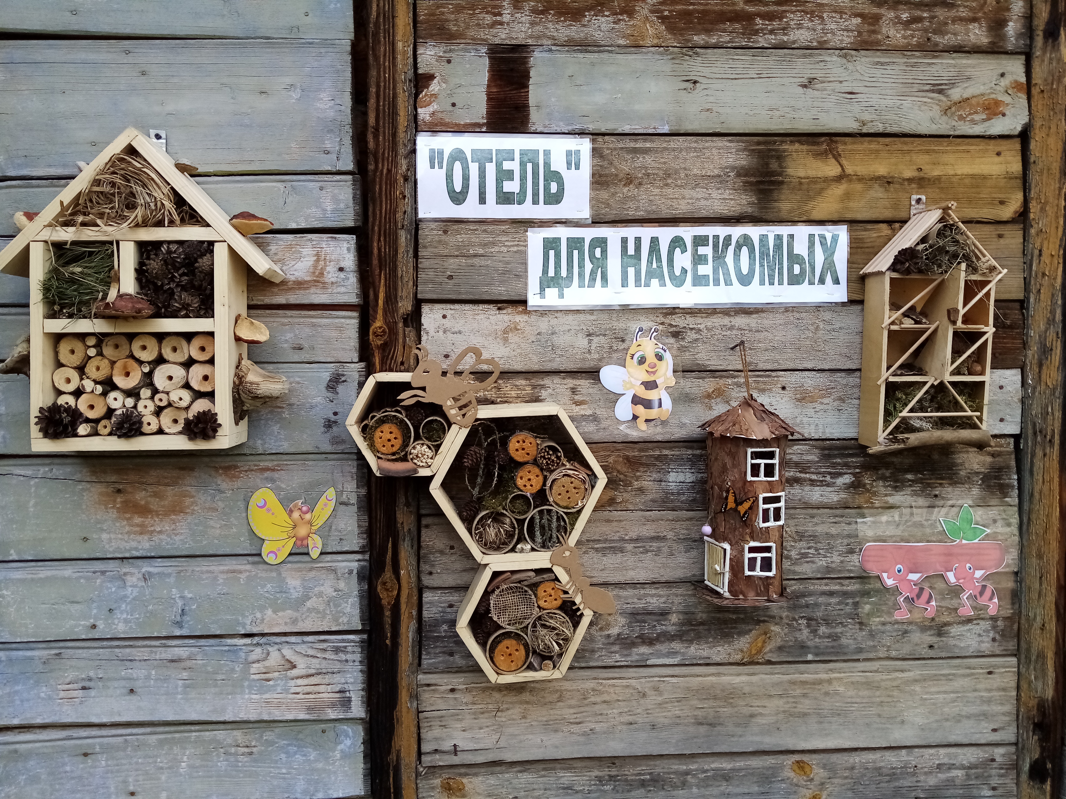 «Отель для насекомых».