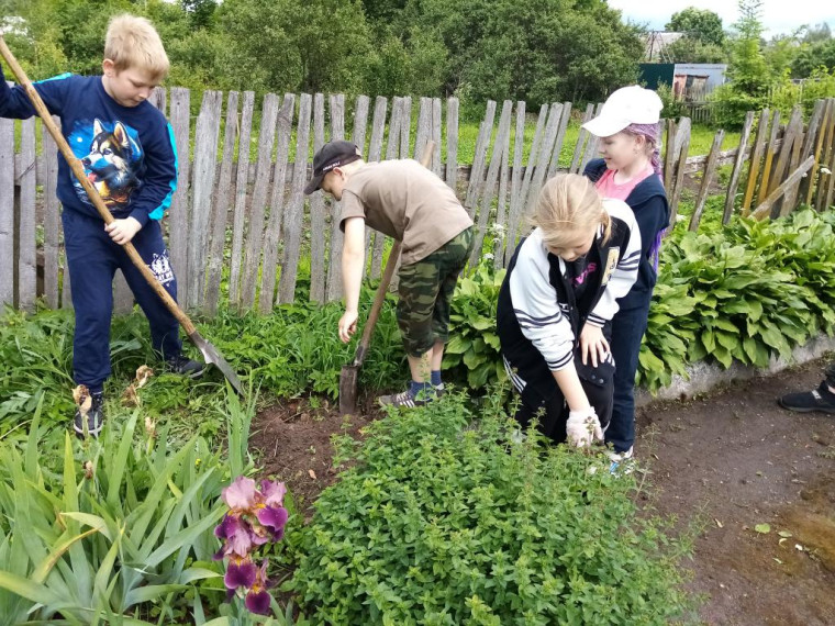 Экотропа юннатов.