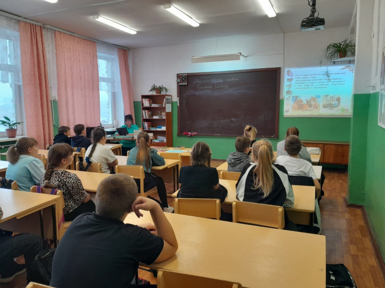 Всемирный день домашних животных.